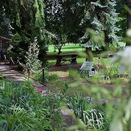 Гостевой дом Kartoffelgasthaus & Knidle Люббенау